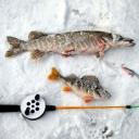 АЛЕКСАНДР СЕМЁНОВ