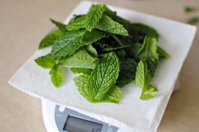 Мятно-шоколадное печенье - приготовление