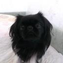 Жанна Скокюк