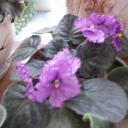 Жанна Скокюк