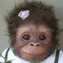 Инна Кривда