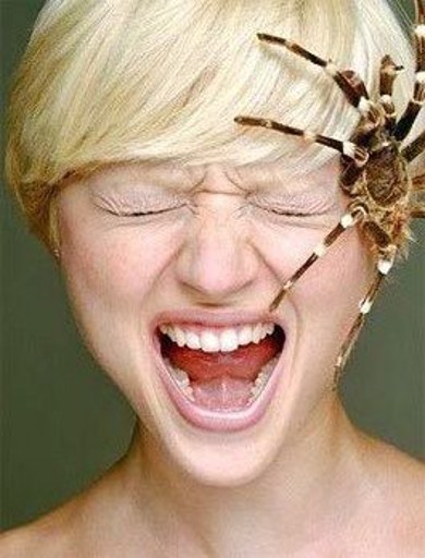 Наши фобии )