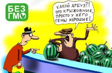 Что мы едим? ГМО?