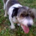 Наталия Олейник