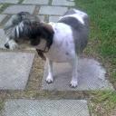 Наталия Олейник