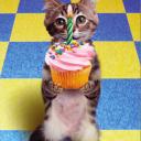 Мария Медкова