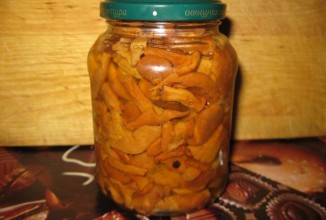 Маринованные лисички