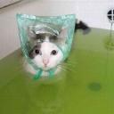 Летят Высоко