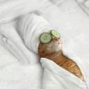 лариса ленина