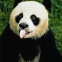 Андрей Осинкин