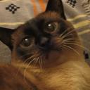 Марина Трифонова