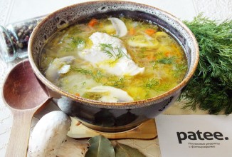 Щи с квашеной капустой, свининой и грибами