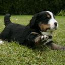 Евгения Иванова