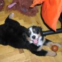 Евгения Иванова