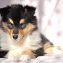 Евгения Иванова