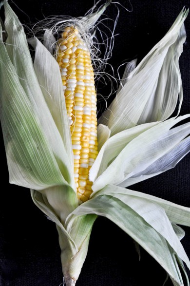 Жареная на гриле кукуруза с беконом и сыром Котиха - Шаг 1