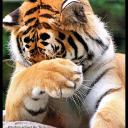 Нина Мелихова