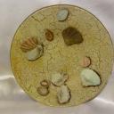 Диана Харчилава