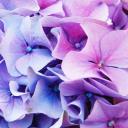 Лариса Анатольевна