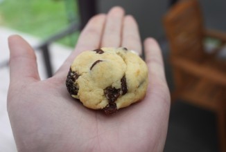 Печенье с изюмом и шоколадом