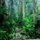 Виктория Росинская