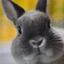 Наталья Афанасенкова