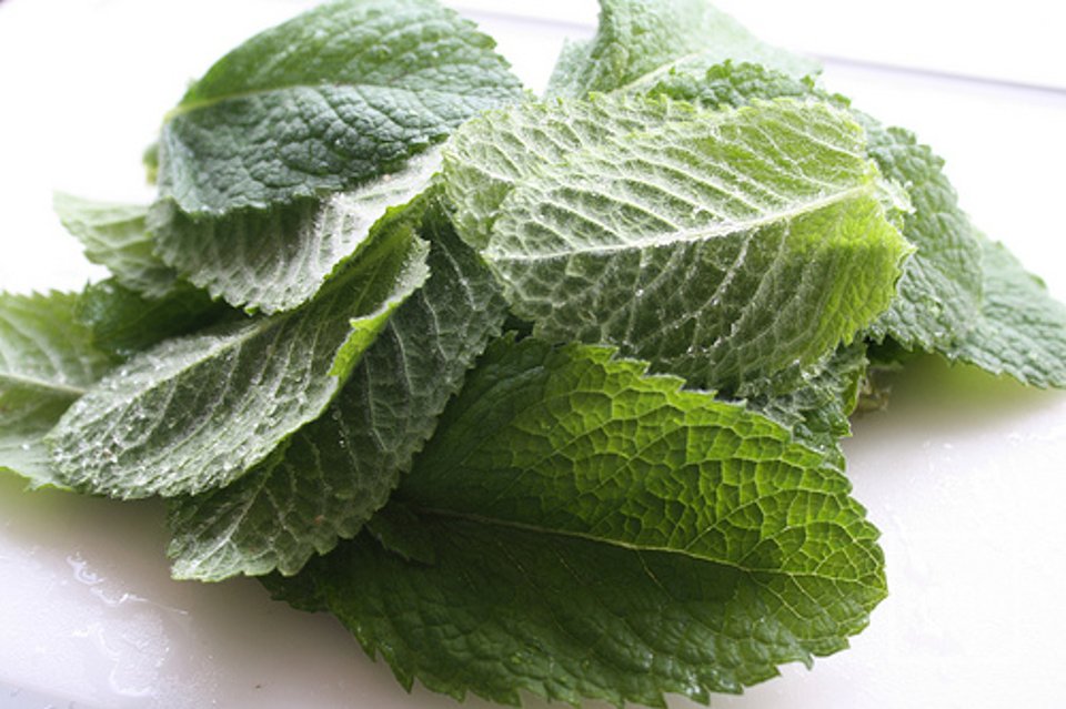 Шоколадно-мятное печенье - Шаг 1