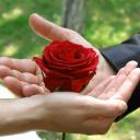 наталья багира