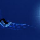 Светлана Водолагина