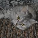 Ирина Петрова