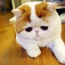 Оля Сидорова