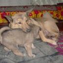 Марина Сазонова