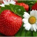 Наталья Дубова