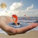 Ольга Абермит