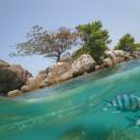 Кристина Антипина