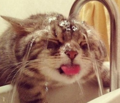 Делимся позитивом )