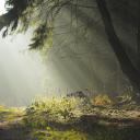 Наталья Жук