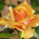 Татьяна Иванова