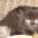 Оленька Новикова