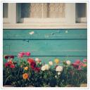 Евгения Матросова