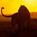 Анастасия Шелухина