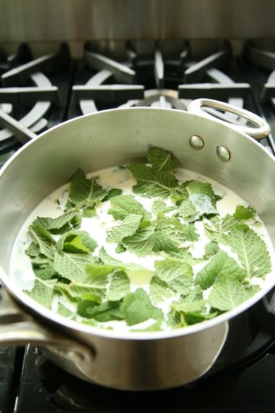 Мятное мороженое с шоколадом - Шаг 2