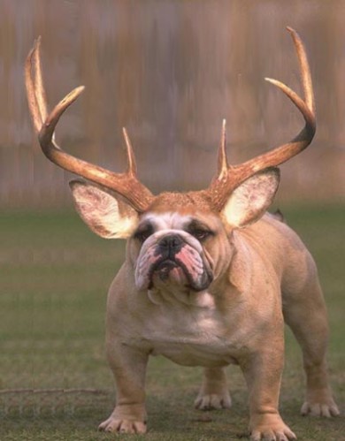 Жажда измены.