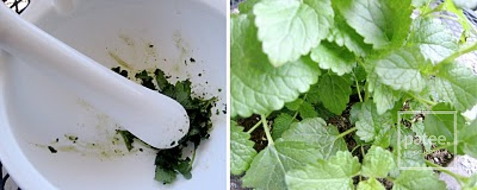 Лимонное печенье с мелиссой - Шаг 2