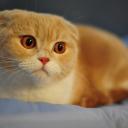 Евгения Попова