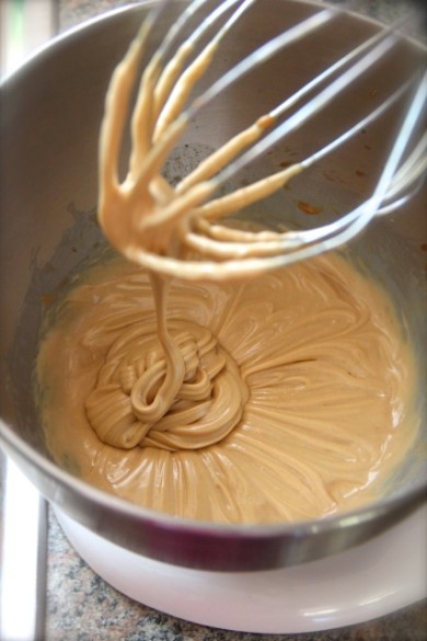 Шоколадно-арахисовый йогурт-мороженое - Шаг 1