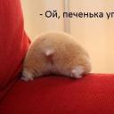 Анна Селищева