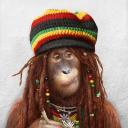 Глеб Чарушников