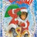 Светлана Васильева(Максименко)