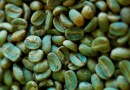 Зеленые кофейные зерна помогут похудеть